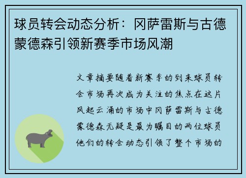 球员转会动态分析：冈萨雷斯与古德蒙德森引领新赛季市场风潮